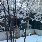 Nivia Snow View | Hakuba, Nagano