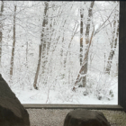 Nivia Snow | Hakuba, Nagano
