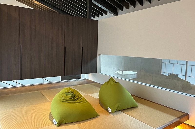 Nivia TV Room with Seating Area | Hakuba, Nagano
