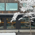 Nivia Snowfall | Hakuba, Nagano