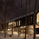 Shakuzen Outdoor View at Night | Annupuri, Niseko