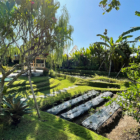 Villa Bogor Gardens and Pool at Day Time | Canggu, Bali