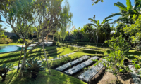 Villa Bogor Gardens and Pool at Day Time | Canggu, Bali