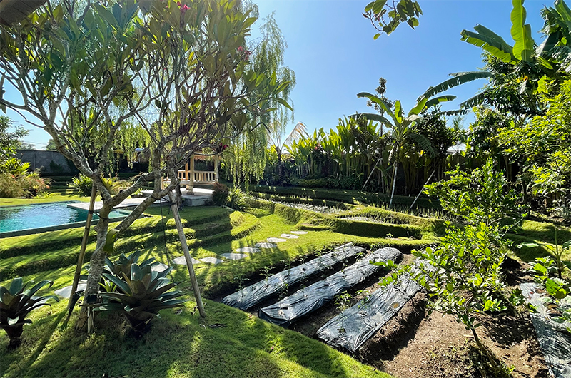 Villa Bogor Gardens and Pool at Day Time | Canggu, Bali