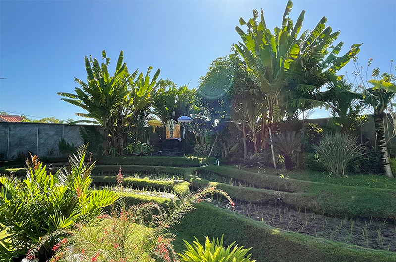 Villa Bogor Gardens | Canggu, Bali