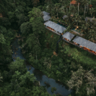 Bedulu Cliffside Bird's Eye View | Ubud, Bali
