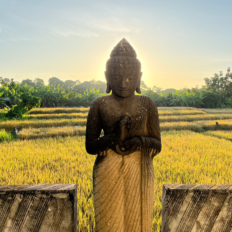Abaca Villas Buddha With Sunset View