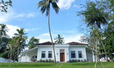 Braganza House Gardens with Palm Trees | Galle, Sri Lanka