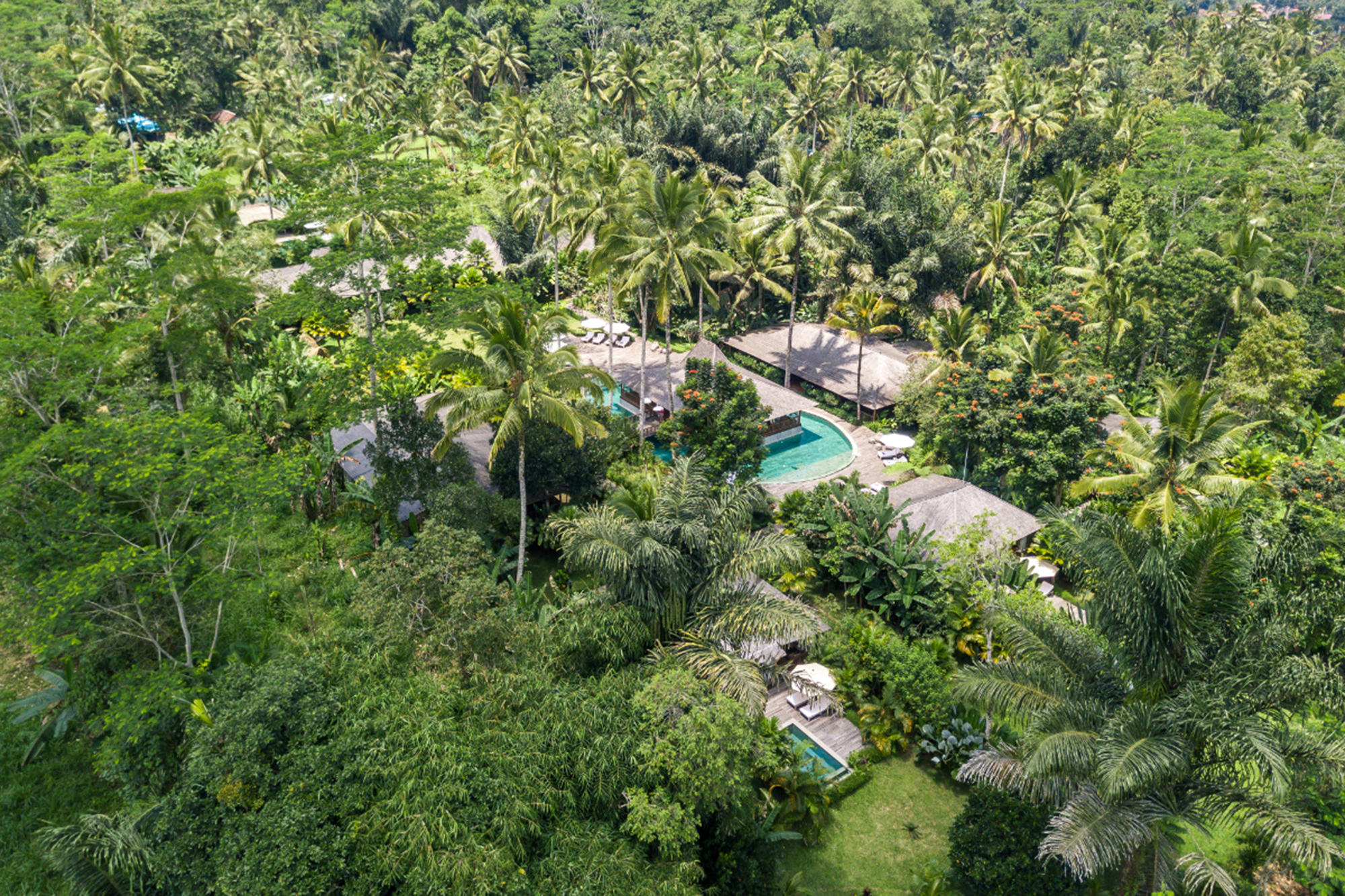 Nag Shampa Bali Top View