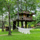 Serene Garden Residence Gardens and Trees | Siem Reap, Cambodia