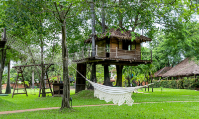 Serene Garden Residence Gardens and Trees | Siem Reap, Cambodia