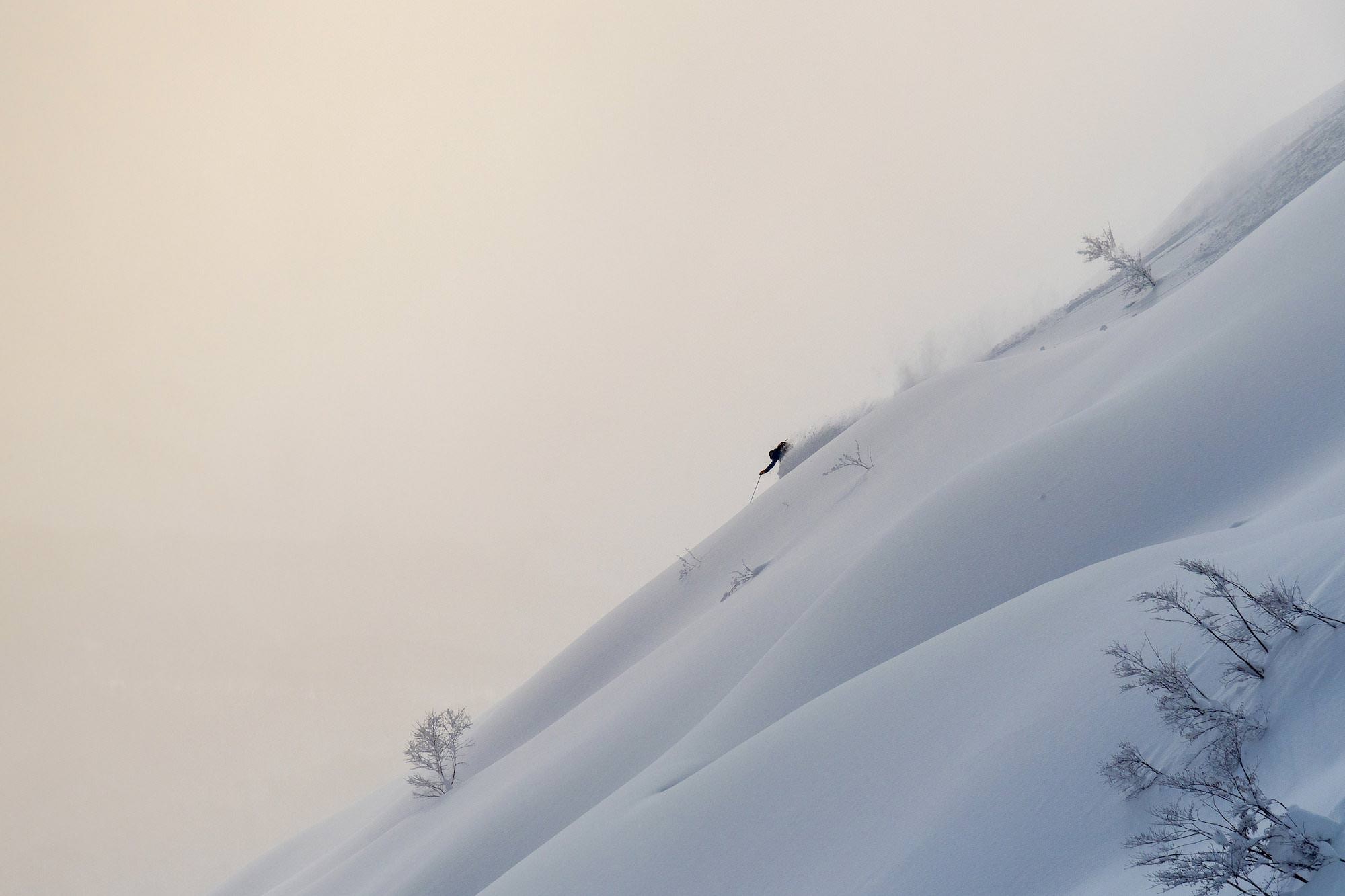Niseko Freeze Frame