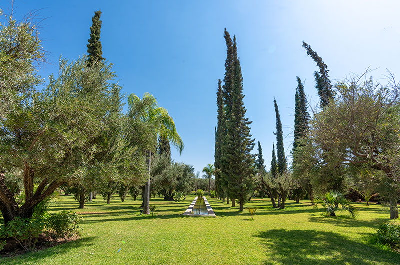 Palais Hassoun Gardens | Marrakesh, Morocco
