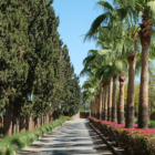 Villa Jenaman Gardens with Trees | Marrakesh, Morocco