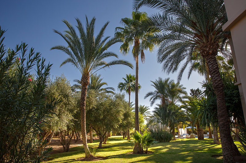 Villa Maggy Rose Gardens with Trees | Marrakesh, Morocco