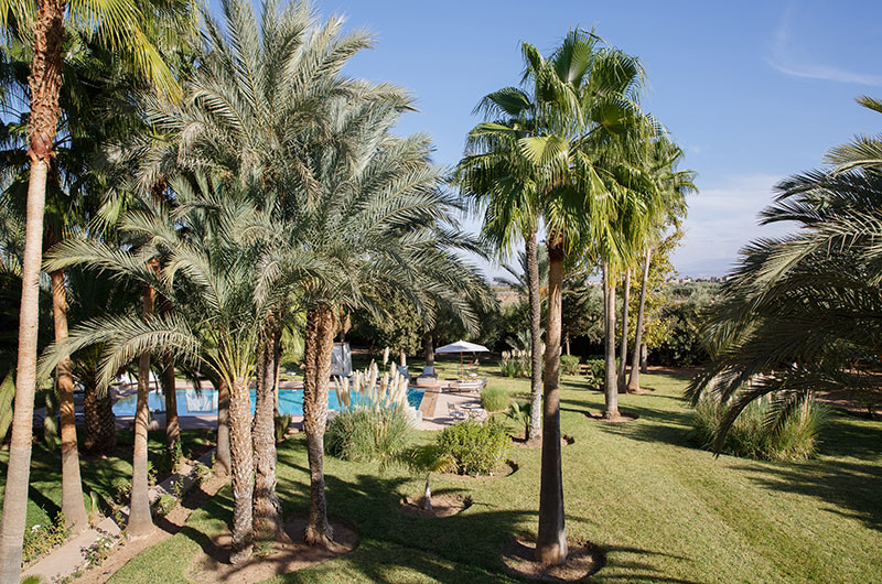 Villa Maggy Rose Gardens with Trees at Day Time | Marrakesh, Morocco