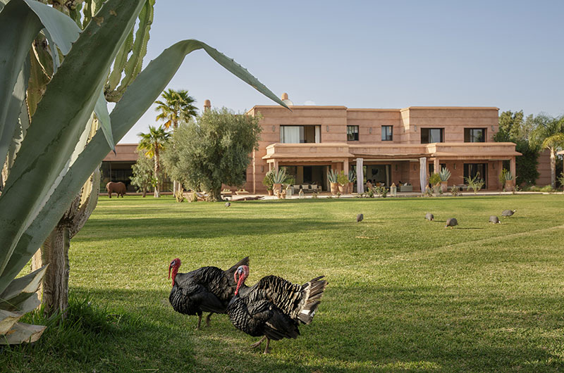 Villa Mish Mish Gardens with Birds | Marrakesh, Morocco