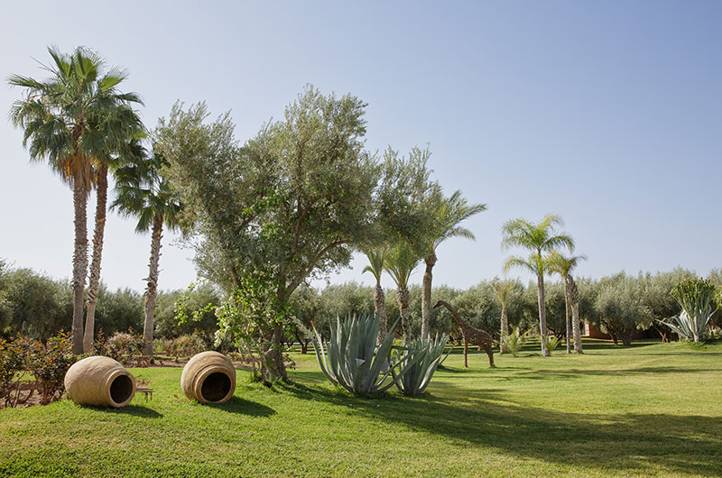 Villa Mish Mish Gardens with Trees | Marrakesh, Morocco