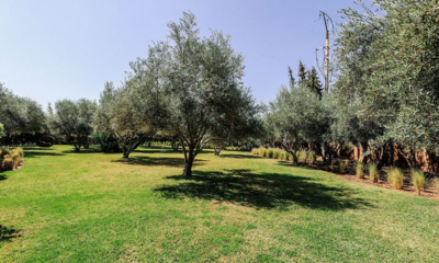 Villa Zitouna Gardens | Marrakesh, Morocco