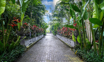 Bali Thermaeofubud 33