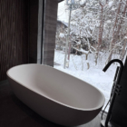 Forest Gardens Bathroom One with Bathtub and View | Echoland, Hakuba