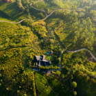Camellia Hills Top View | Dickoya, Sri Lanka