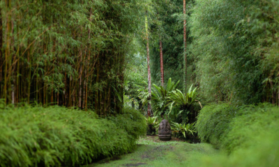 Bali Villarumahubud Hujan 08