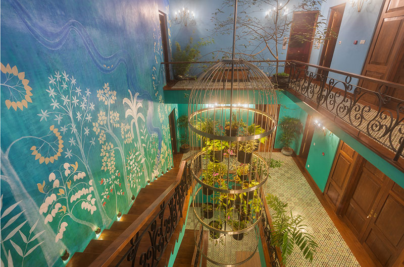 Dendrobium House Indoor Area View | Kandy, Sri Lanka