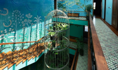 Dendrobium House Up Stairs Area with Plants Decoration | Kandy, Sri Lanka