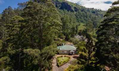 Sri Lanka Highgroveestate 05