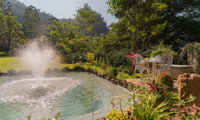 Sri Lanka Highgroveestate 43