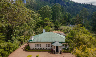 Sri Lanka Highgroveestate 48