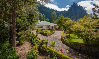 Sri Lanka Highgroveestate 49