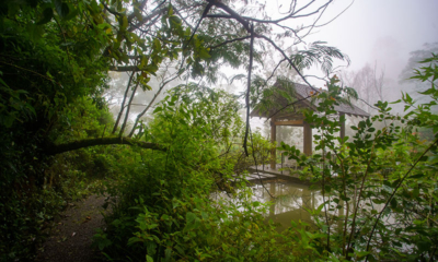Sri Lanka Thecavern 73