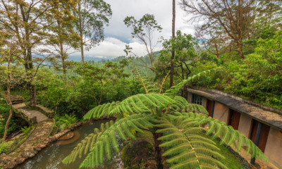 Sri Lanka Thecavern 74