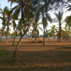 Horizon Gardens with Trees | Dickwella, Sri Lanka