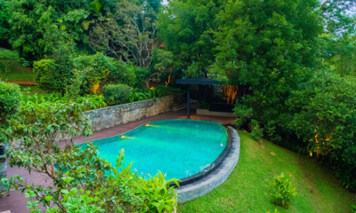 Sri Lanka Lilypod 02