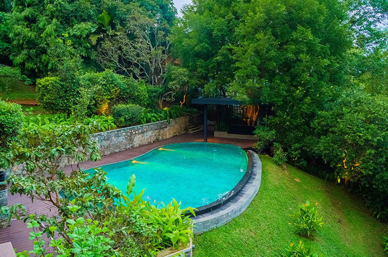 Sri Lanka Lilypod 02