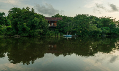 Sri Lanka Lilypod 03