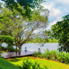 Sri Lanka Lilypod 20
