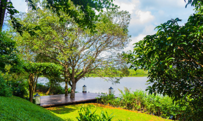 Sri Lanka Lilypod 20