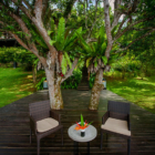 Sri Lanka Lilypod 25