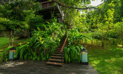 Sri Lanka Lilypod 26