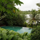 Sri Lanka Lilypod 49