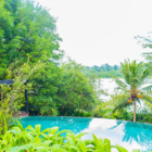 Sri Lanka Lilypod 51