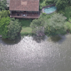 Sri Lanka Lilypod 53