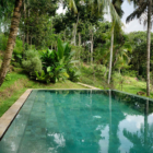 Sri Lanka Thecanopy 44