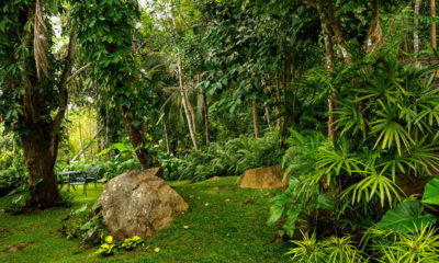 Sri Lanka Thecanopy 46