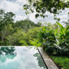 Sri Lanka Thecanopy 47